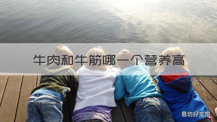 牛肉和牛筋哪一个营养高 牛肉和牛筋哪一个营养高些