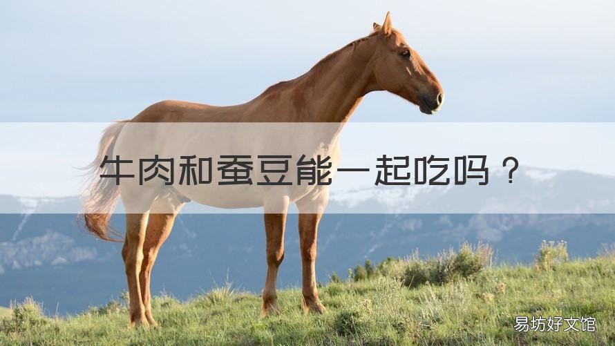 牛肉和蚕豆能一起吃吗 牛肉与蚕豆能一起吃吗