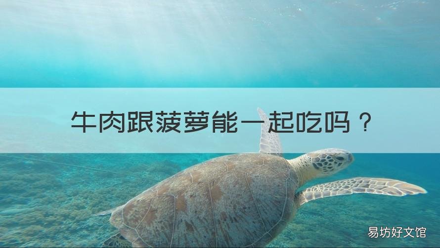牛肉跟菠萝能一起吃吗 牛肉可以和菠萝一起吃吗?
