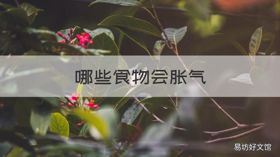 哪些食物会胀气 哪些食物胀气不能吃