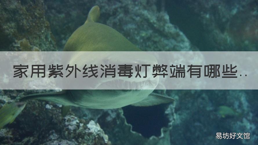 家用紫外线消毒灯弊端有哪些 家用紫外线消毒灯弊端有哪些原因