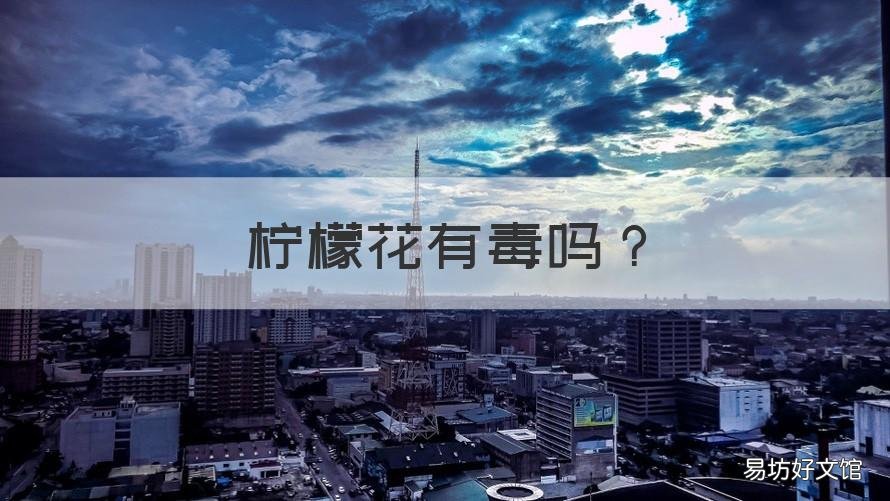 柠檬花有毒吗 柠檬花有毒吗图片