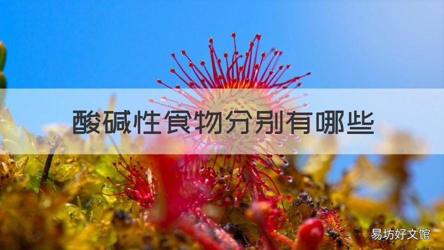 酸碱性食物分别有哪些 酸性碱性食物分别有哪些