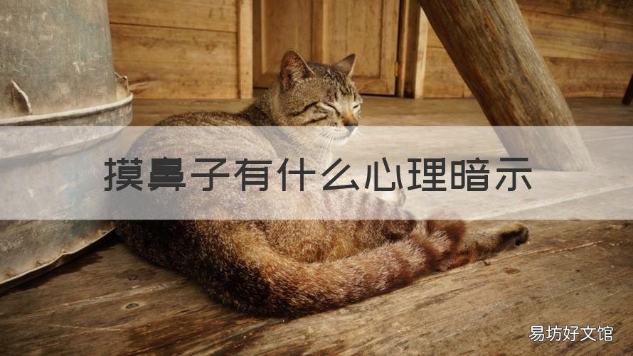 摸鼻子有什么心理暗示 摸鼻子的心理