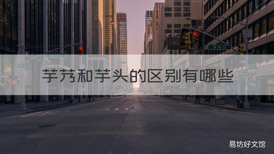 芋艿和芋头的区别有哪些 芋艿和芋头是一样的吗
