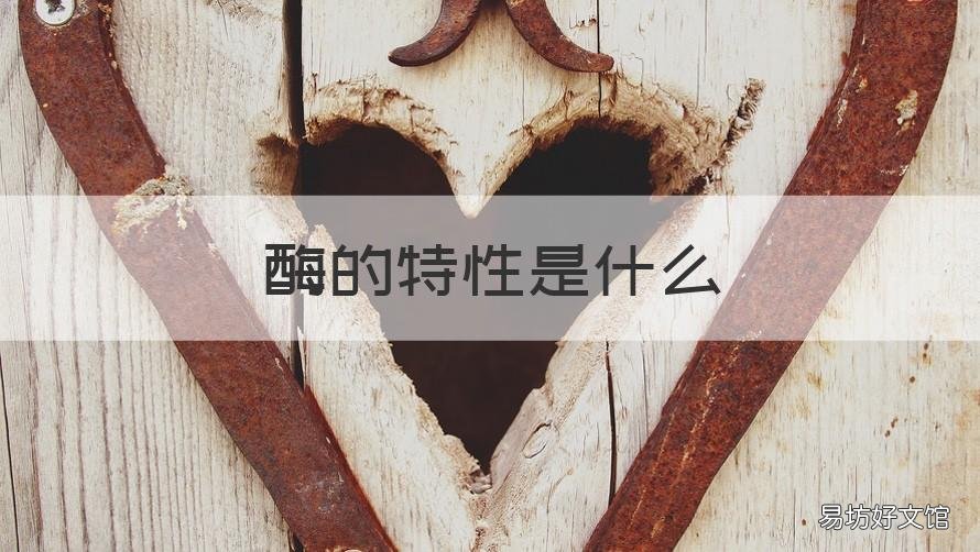 酶的特性是什么 酶的特性是什么?