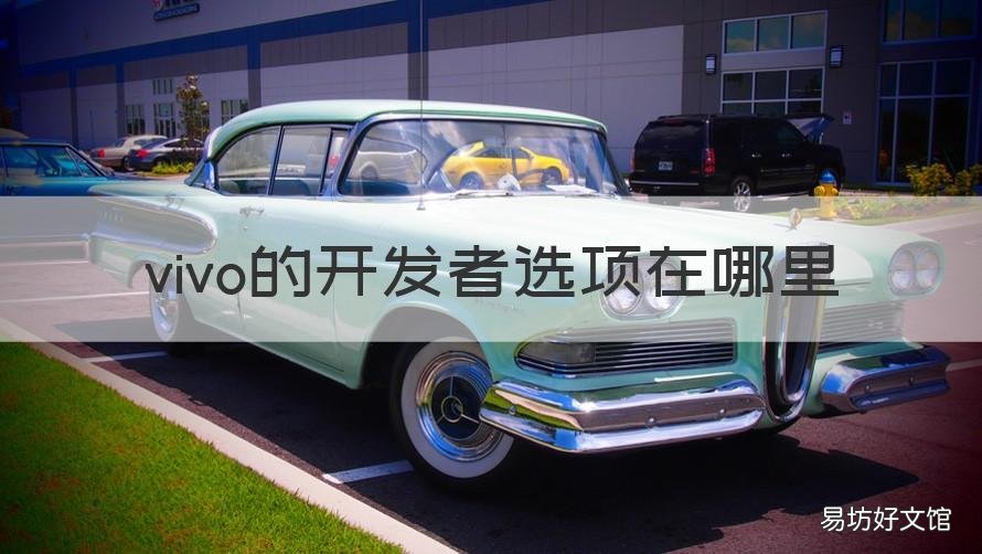 vivo的开发者选项在哪里 vivo开发者选项在哪里设置