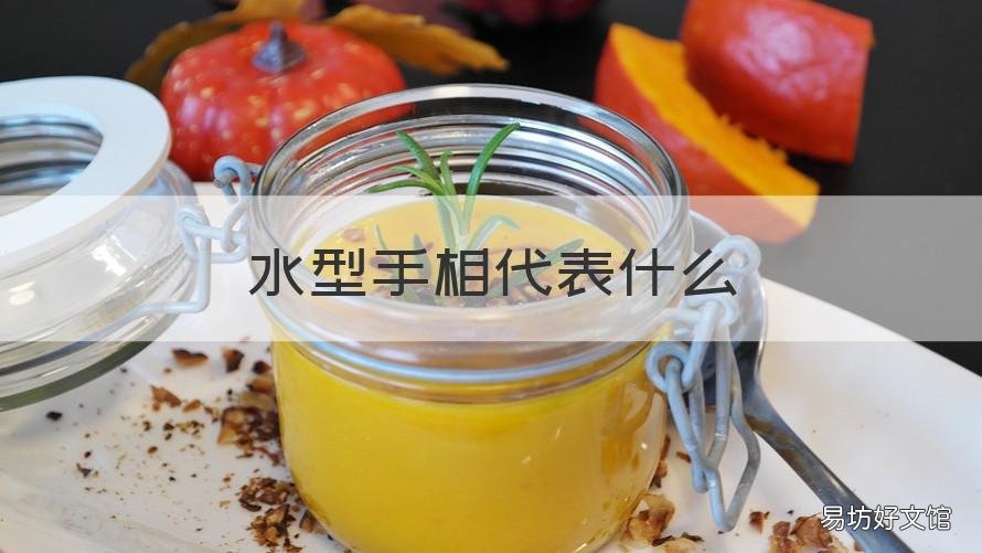 水型手相代表什么 水型手相代表什么生肖