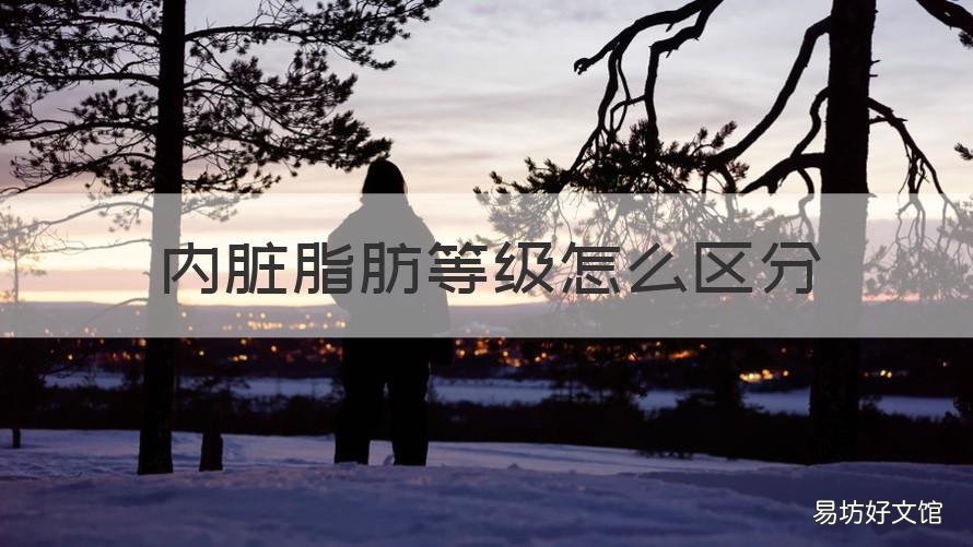 内脏脂肪等级怎么区分 内脏脂肪等级多少