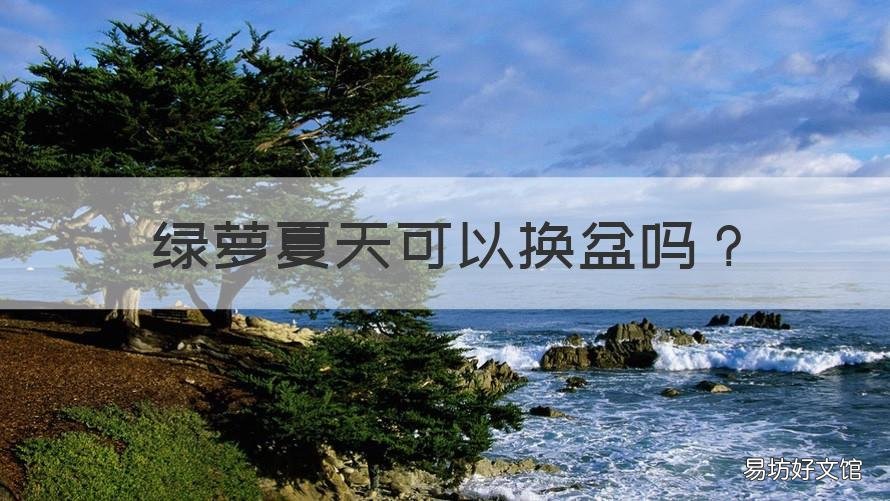 绿萝夏天可以换盆吗 冬天给绿萝换盆好吗