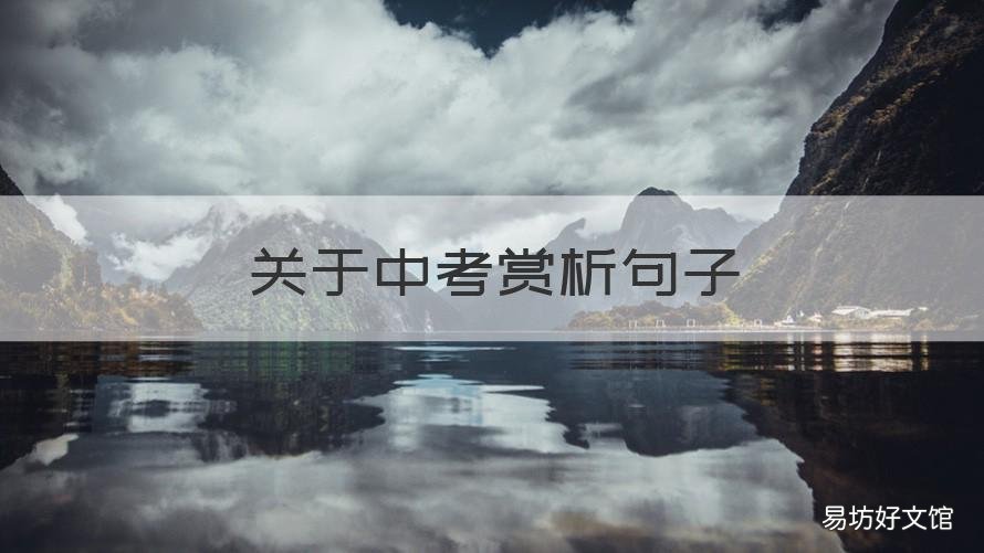 关于中考赏析句子 描写中考的优美句子