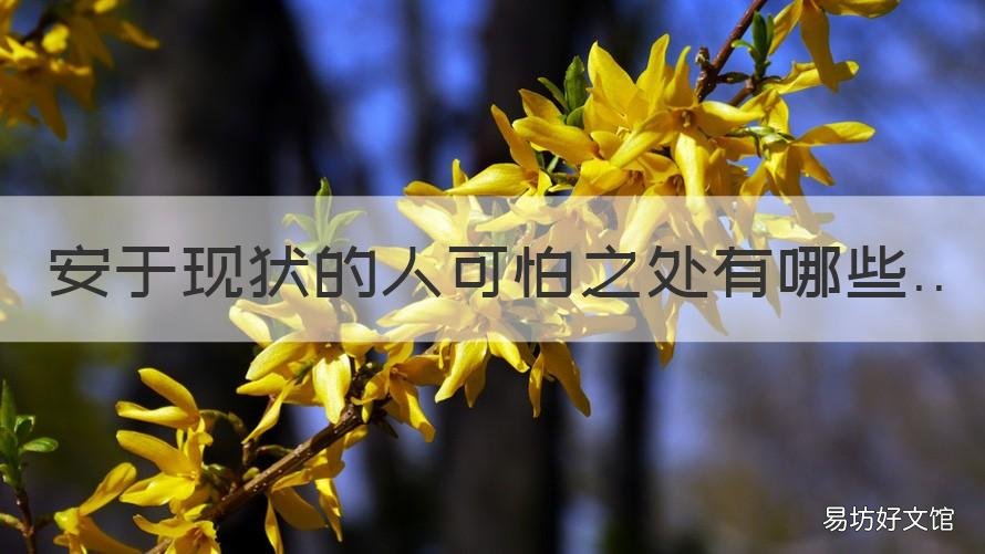 安于现状的人可怕之处有哪些 很多人安于现状