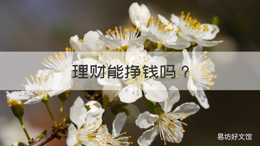 理財(cái)能掙錢嗎 理財(cái)能掙錢嘛