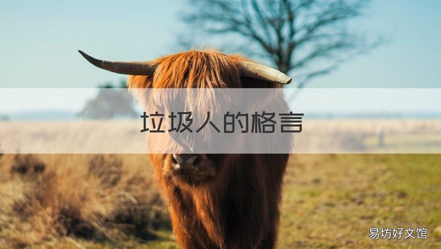 垃圾人的格言 垃圾人的格言怎么写