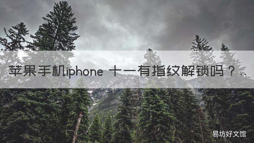 苹果手机iphone 十一有指纹解锁吗 苹果十一有没有指纹解锁功能