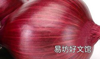 吃羊腿之前为什么吃生洋葱 羊吃了洋葱有好吗