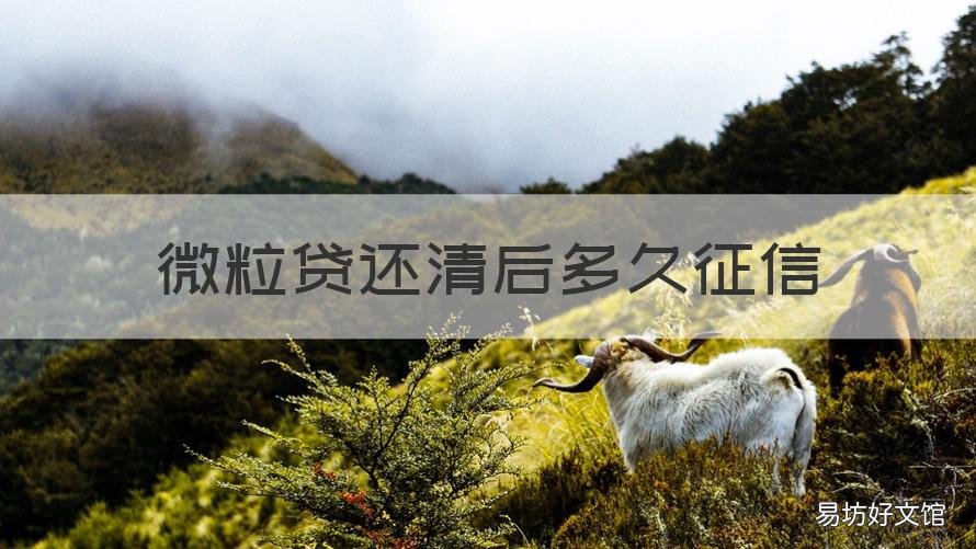 微粒贷还清后多久征信 微粒贷还清后多久征信能查到