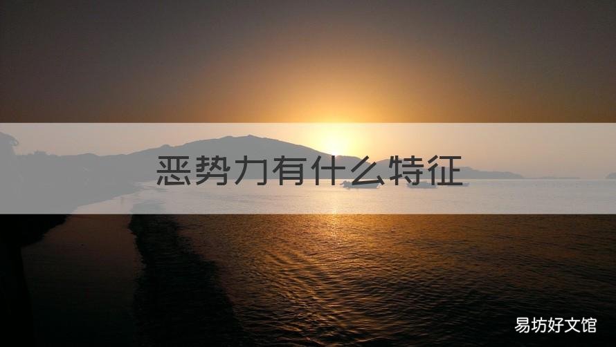 恶势力有什么特征 恶势力的特征及具体表现是什么?(多选)