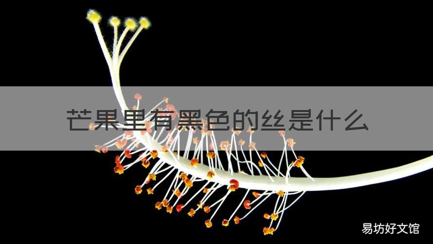 芒果里有黑色的丝是什么 芒果里有黑色的丝是什么东西