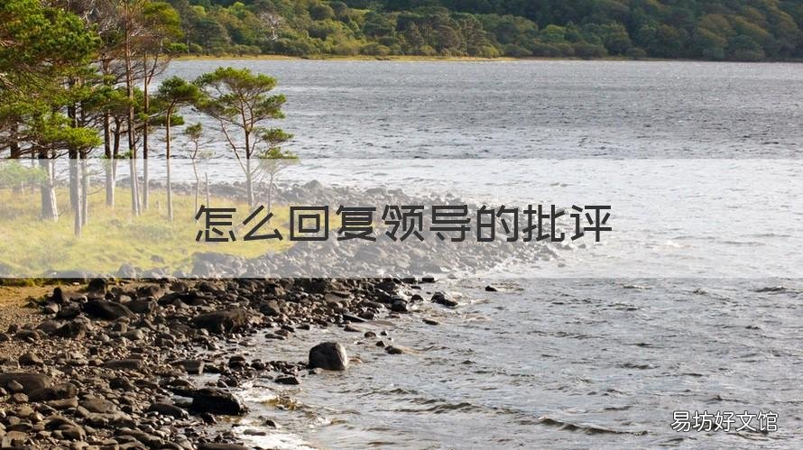 怎么回复领导的批评 怎么回复领导的批评和鼓励