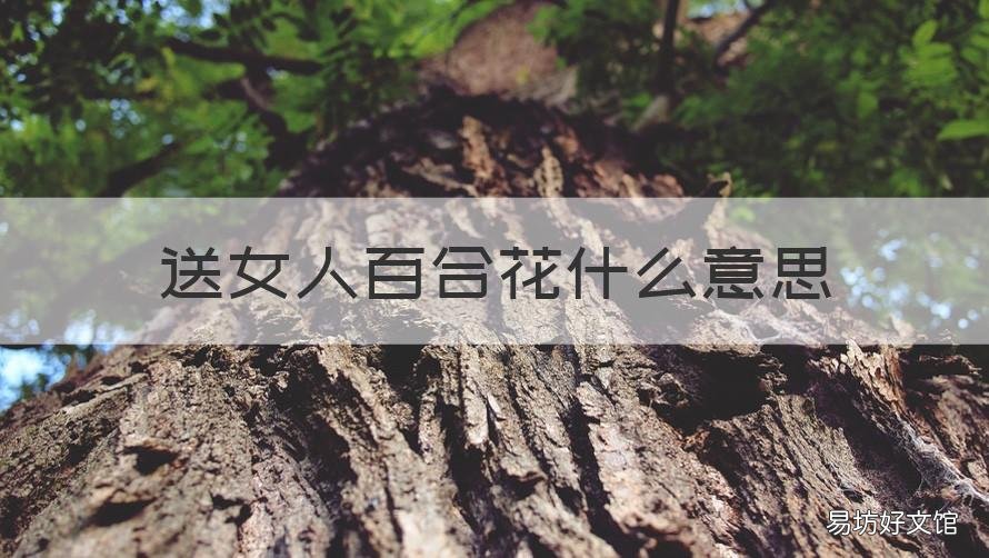 送女人百合花什么意思 送女人百合花什么意思啊