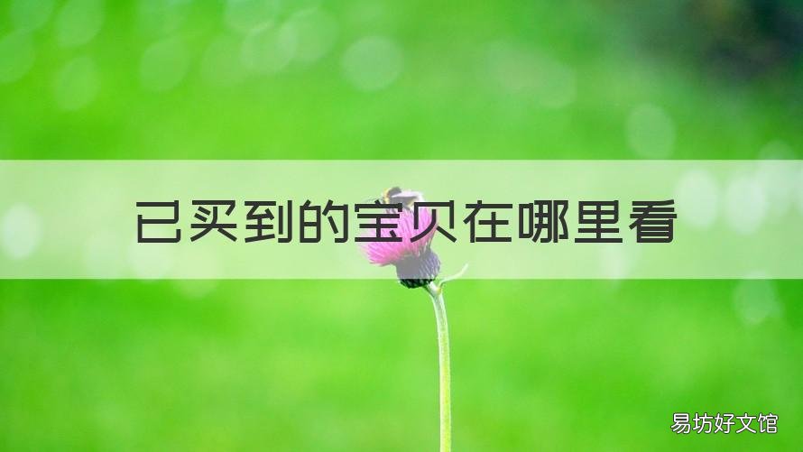已买到的宝贝在哪里看 我已购买的宝贝在哪里能看到
