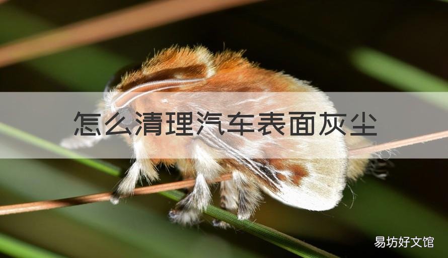 怎么清理汽车表面灰尘 怎么清理汽车表面灰尘污渍