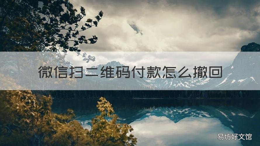 微信扫二维码付款怎么撤回 微信扫二维码付款后怎么退回