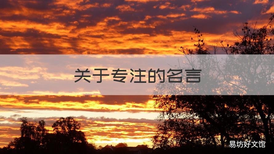 关于专注的名言 爱因斯坦关于专注的名言