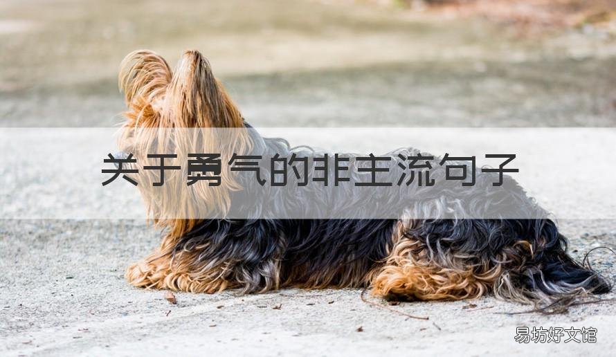 关于勇气的非主流句子 非主流语录短句霸气