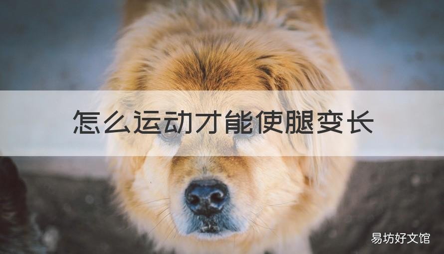 怎么运动才能使腿变长 怎么锻炼可以使腿变长