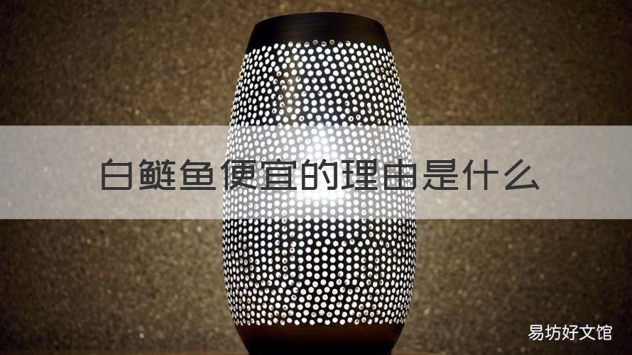 白鲢鱼便宜的理由是什么 白鲢鱼便宜的理由是什么呢
