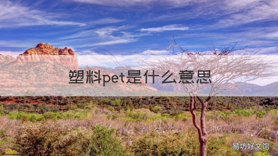 塑料pet是什么意思