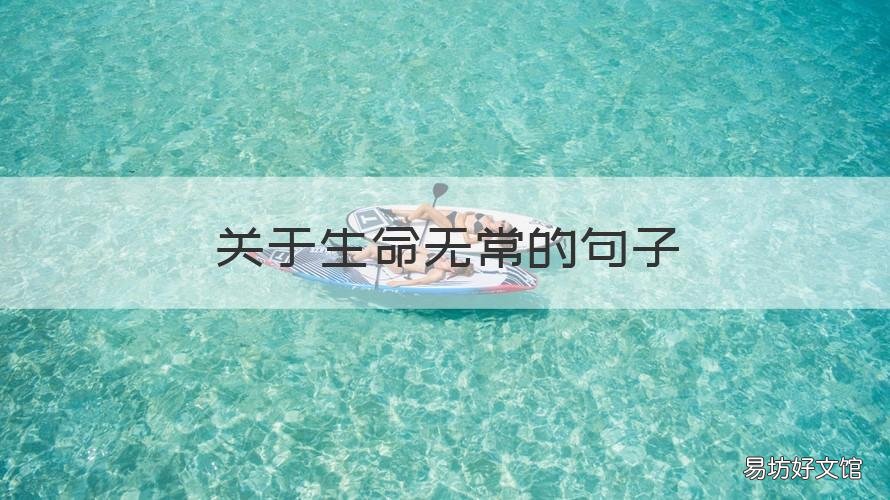 关于生命无常的句子 感叹生命无常经典语录