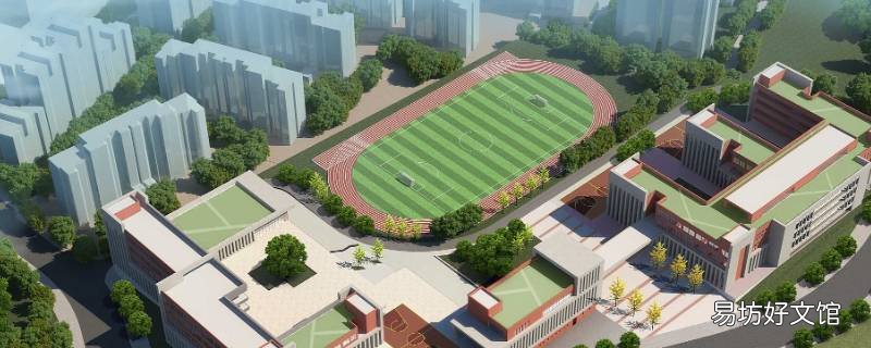 小学政策生是什么意思 什么是政策生学生
