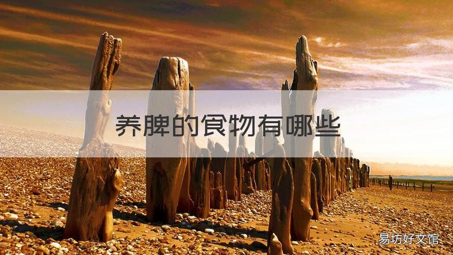 养脾的食物有哪些 养脾的食物有哪些呢