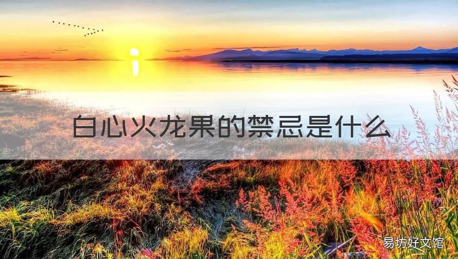 白心火龙果的禁忌是什么 白心火龙果功效禁忌