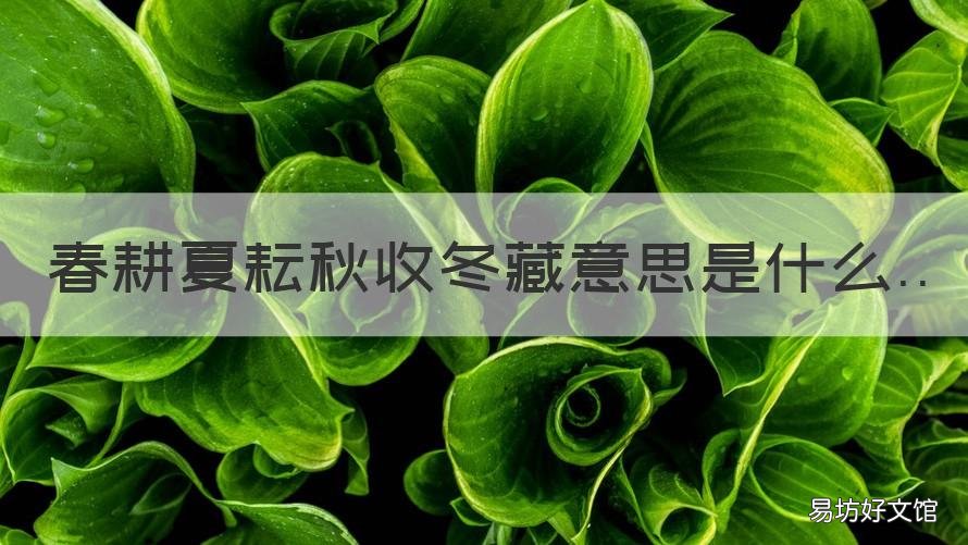 春耕夏耘秋收冬藏意思是什么 春种秋收夏耘冬藏是什意思