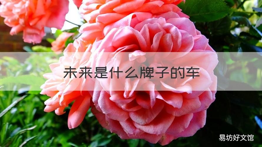 未来是什么牌子的车 未来是什么牌子的车车价多少