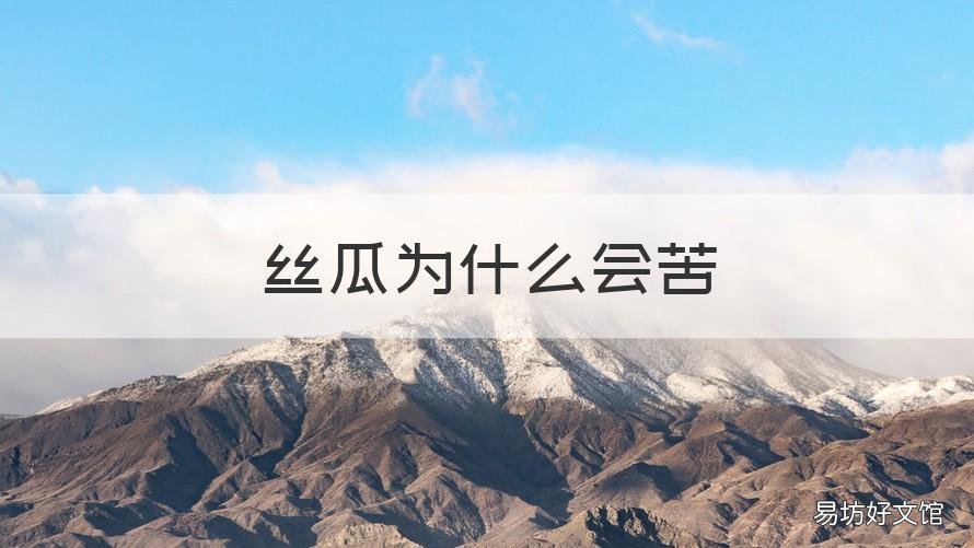 丝瓜为什么会苦