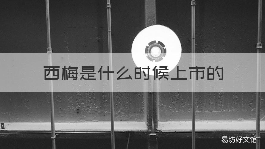 西梅是什么时候上市的