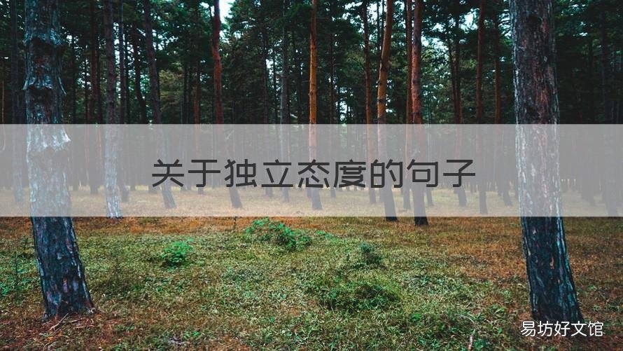 关于独立态度的句子 关于独立的经典句子