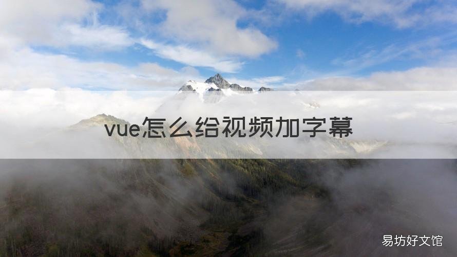 vue怎么给视频加字幕 vue如何加字幕