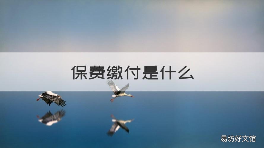 保费缴付是什么 缴保费是什么意思