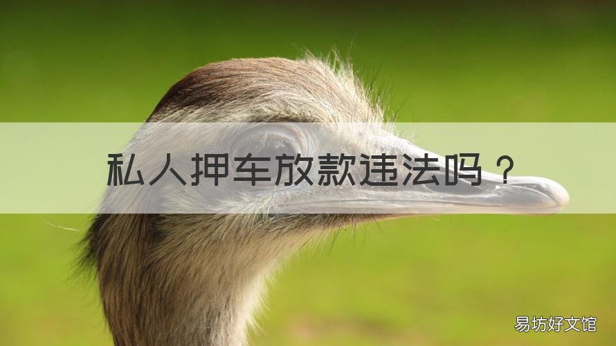 私人押车放款违法吗 私人押车放款违法吗怎么处理