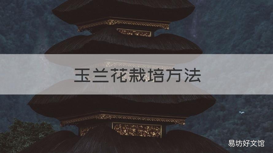 玉兰花栽培方法 玉兰花的养殖方法