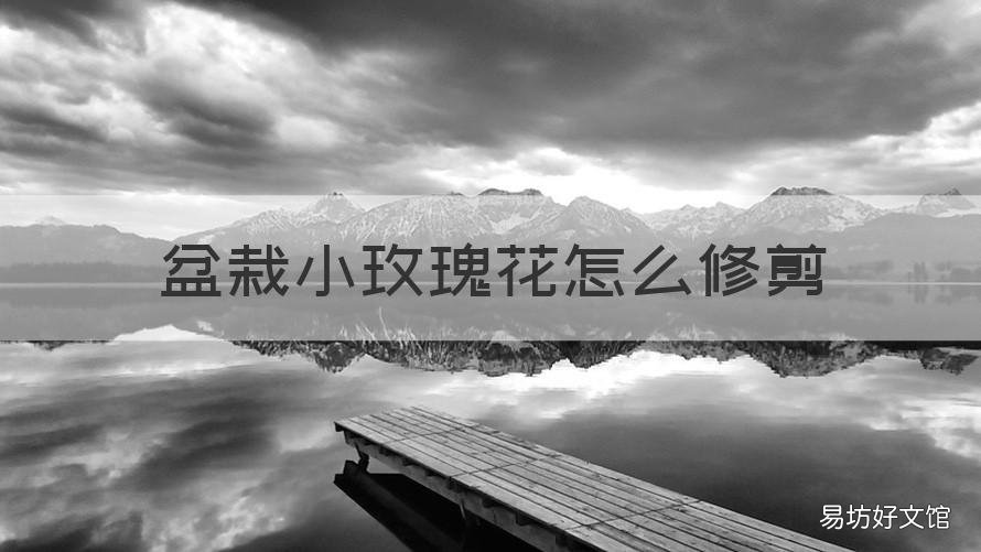 盆栽小玫瑰花怎么修剪 盆栽玫瑰花怎么修剪视频