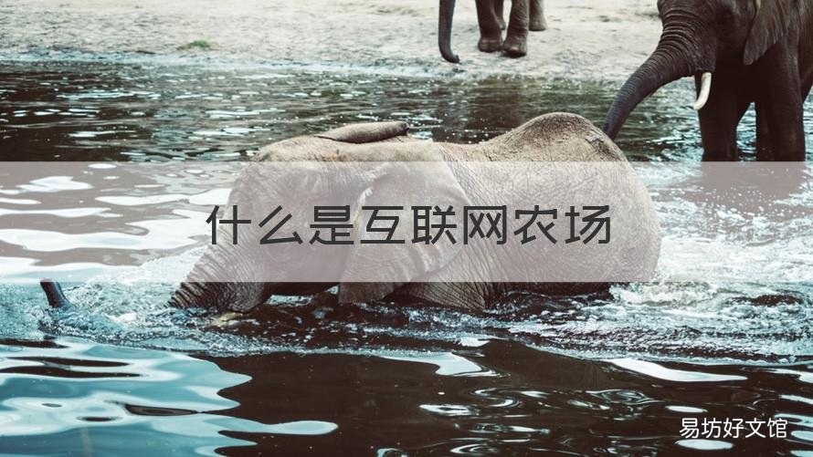 什么是互联网农场 什么是互联网农场项目