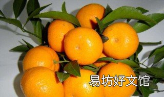 桔子的功效与作用禁忌 小金桔子的功效与作用禁忌