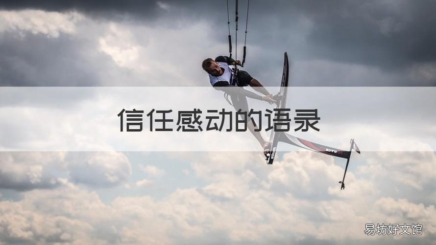 信任感动的语录 信任的经典语录